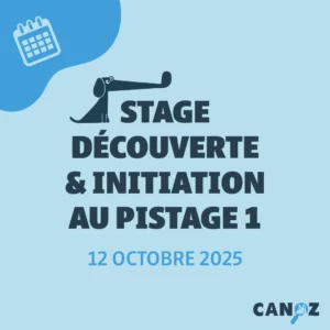 Stage de Découverte et d'Initiation au Pistage - SDIP 1 - 12/10/2025