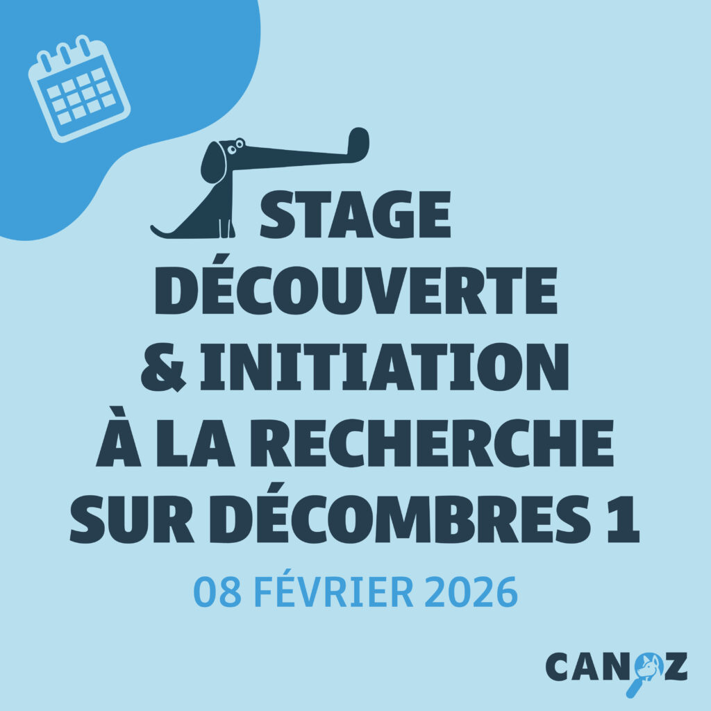 Stage de Découverte et d'Initiation à la Recherche sur Décombres - SDID 1 - 08/02
