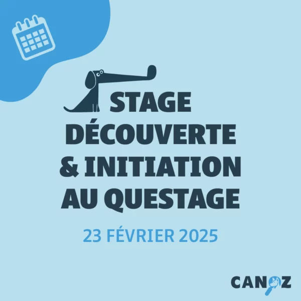 Stage de Découverte et d'Initiation au Questage - SDIQ 1