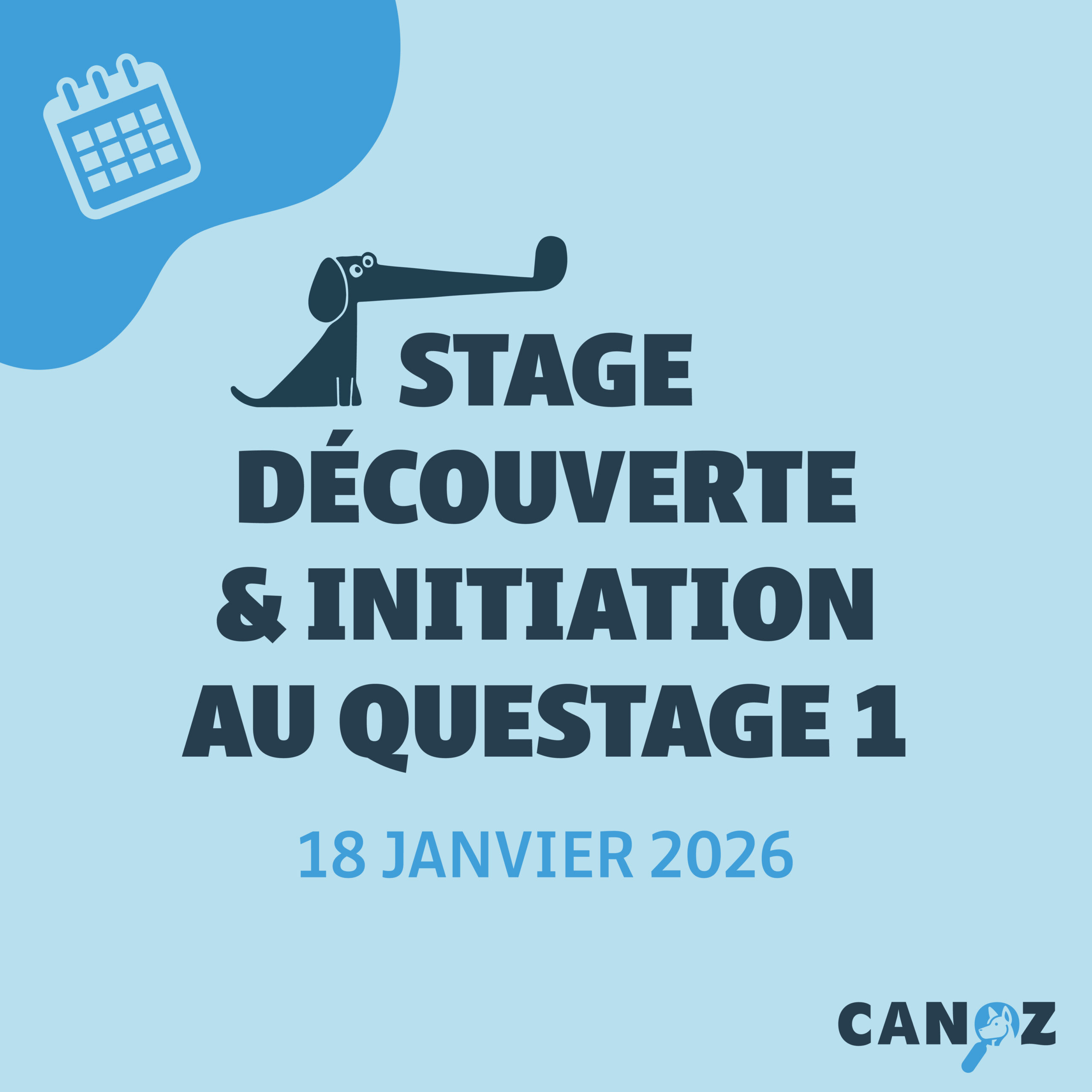 Stage de Découverte et d'Initiation au Questage - SDIQ 1 - 18/01