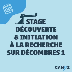 Stage de Découverte et d'Initiation à la Recherche sur Décombres - SDID 1 - 07/06/26