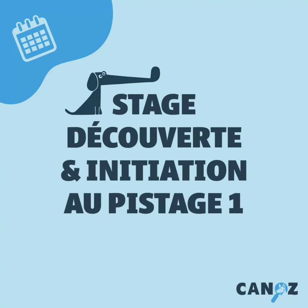 Stage de Découverte et d'Initiation au Pistage - SDIP 1 - 12/04/2026