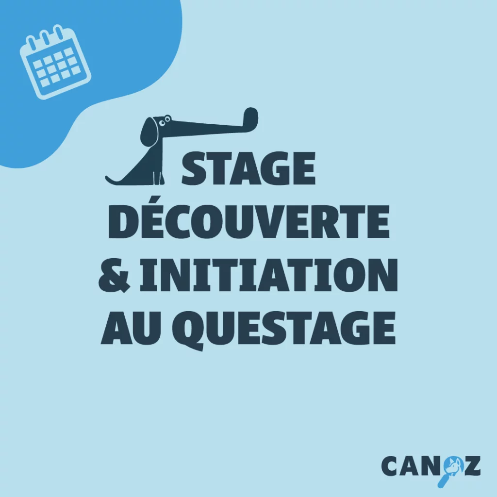 Stage de Découverte et d'Initiation au Questage - SDIQ 1 - 15/03/26